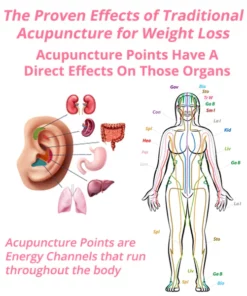 Aurora™ Lymphatic Auricular Therapy Germanium Earrings