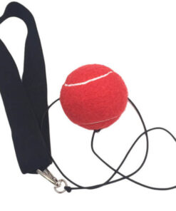 Boxing Reflex Ball