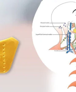 Dobshow™ 24KGold BeeVenom-Lymphatic Drainage Therapy