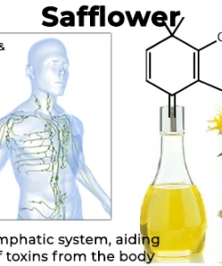 Fivfivgo™ BeeVenom Abnehmendes Fußpflaster