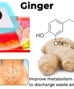 Fivfivgo™ BeeVenom Abnehmendes Fußpflaster