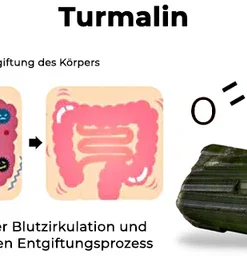 Fivfivgo™ DetoxPlus Lymphdrainage-Fußpflaster