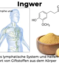 Fivfivgo™ DetoxPlus Lymphdrainage-Fußpflaster
