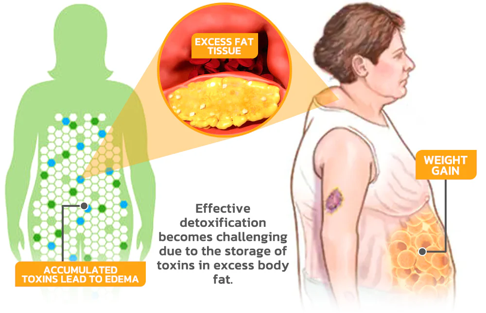 GFOUK™ SkinniB Bee Venom Nose Ring