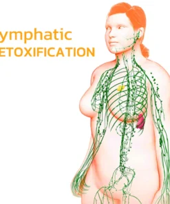 GFOUK™ SkinniB Bee Venom Nose Ring