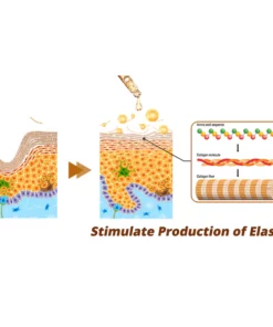 Humxf™ RevitaPeptide Reversal Serum