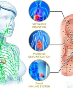 Liacsy™ Detoxify LymphFlow Huggie Earrings