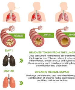 MULLEIN Natural Herbal Tea For Lung Cleanse And Respiratory Support