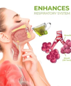 MULLEIN Natural Herbal Tea For Lung Cleanse And Respiratory Support