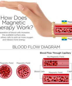 Magnetic LymphTherapy Detox Bracelet