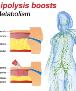 Magnetic Therapy Ginseng Warm Sculpting Roller