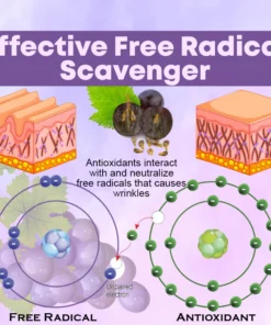 Microneedling LipidReduction Patch