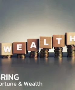 Ombill® FengShui Pi Xiu Amethist Armband