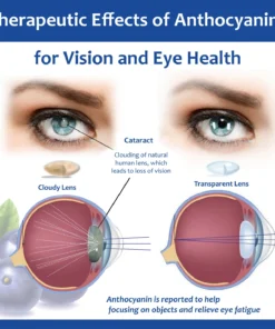 Vision RenewRestorative Eye Drops