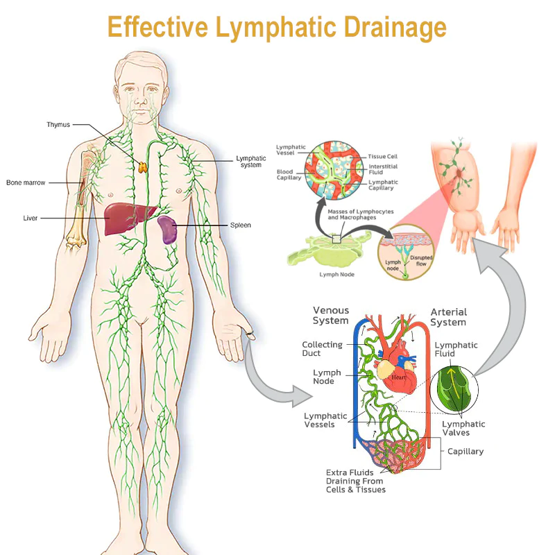 VitaTrim™ Ring - Image 3