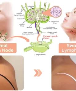 flysmusTM MagneTherapy Lymphvity Zirconium Earrings