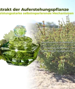 flysmus™ Auferstehungs-Erneuerungs-Creme