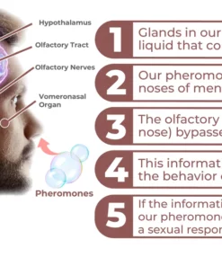 flysmus™ Diana Eau De Pheromone Perfume