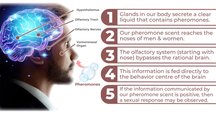 flysmus™ Diana Eau De Pheromone Perfume
