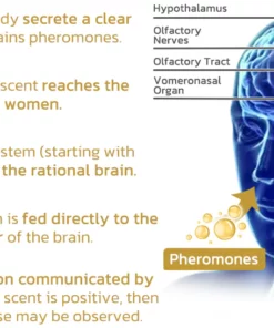 flysmus™ MS Burberi Pheromone Perfume Set