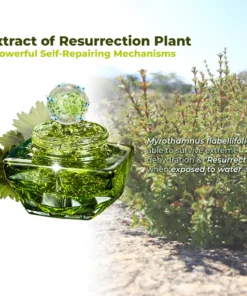 flysmus™ Resurrection Renewal Cream