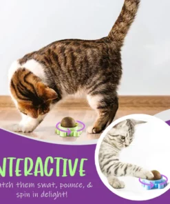 AEXZR™ Deluxe Catnip Wall Ball