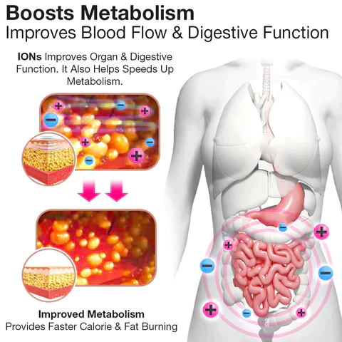 ANGELSLIM™ Тело за контрола на стомак за согорување маснотии со негативен јонски кислород и детоксикација