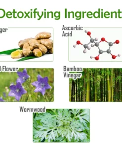 ATTDX Herbal LymphCare Detox FootPads