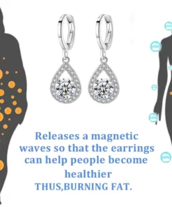 DAILA™ Germanium Ion Detoxification Earrings