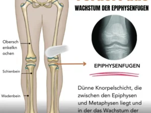 ElevateX™ Creme für Höhenwachstum