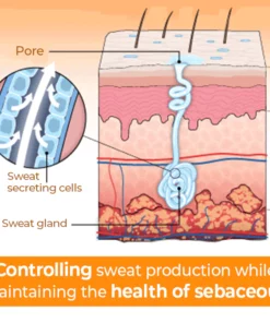 Fresh24™ Sweat-Absorbing Lotion