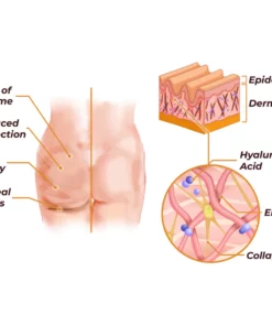 GFOUK™ GingerBloom Enhancement Patch