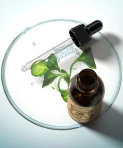 Ginger kidney Health Drops