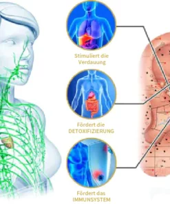 Lymphaktivitäts-Reifenohrringe