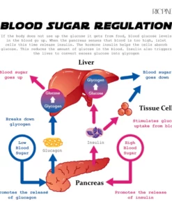 Ricpind ProRelief TitaniumION SugarControl Wristband