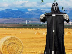 SCREAM ScareCrow