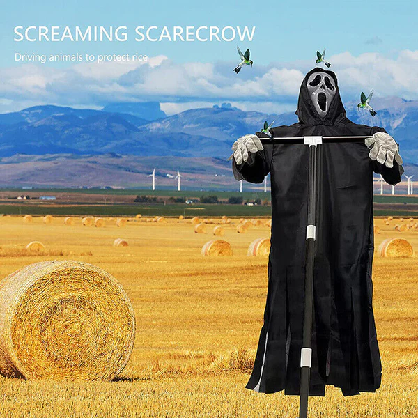 SREAM ScareCrow