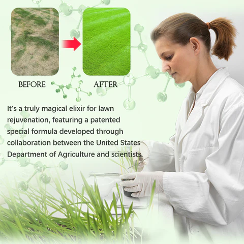 Cápsulas de Essência Nutricional Verde Yinbao AAFQ™