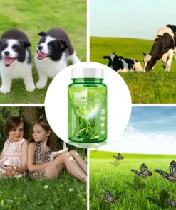 AAFQ™ Green Yinbao Nutrizio Esentzia Kapsulak