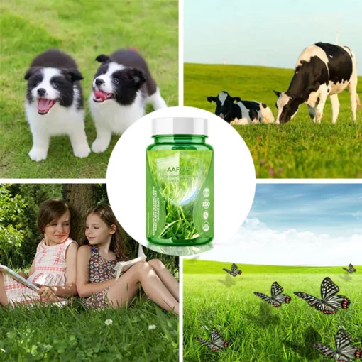 AAFQ™ Green Yinbao Capsules Essence Nutritional Capsules