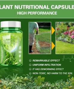AAFQ™ Green Yinbao Nutritional Essence kapslid