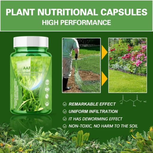 AAFQ™ Green Yinbao Nutritional Essence Capsules
