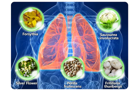 Névoa de limpeza pulmonar à base de ervas AAFQ™