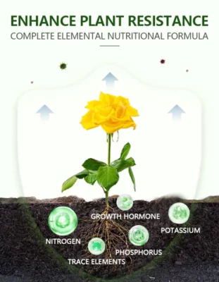 AAFQ™ Green Yinbao Nutritional Essence Capsules