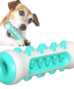Dog Molar Toy