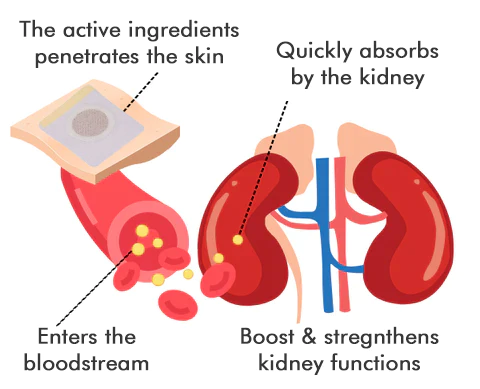 EASYRX™ Kidney Care Patch