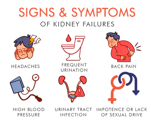 CC™ Kidney Care Patch