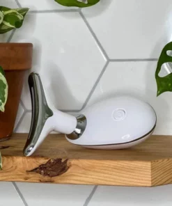 EMS FACE LIFTING MASSAGER