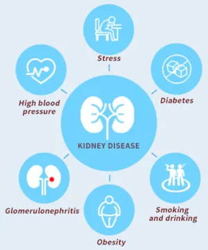 EasyRx™ Kidney Function Support Patches