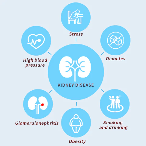 EasyRx™ Kidney Function Support Patches